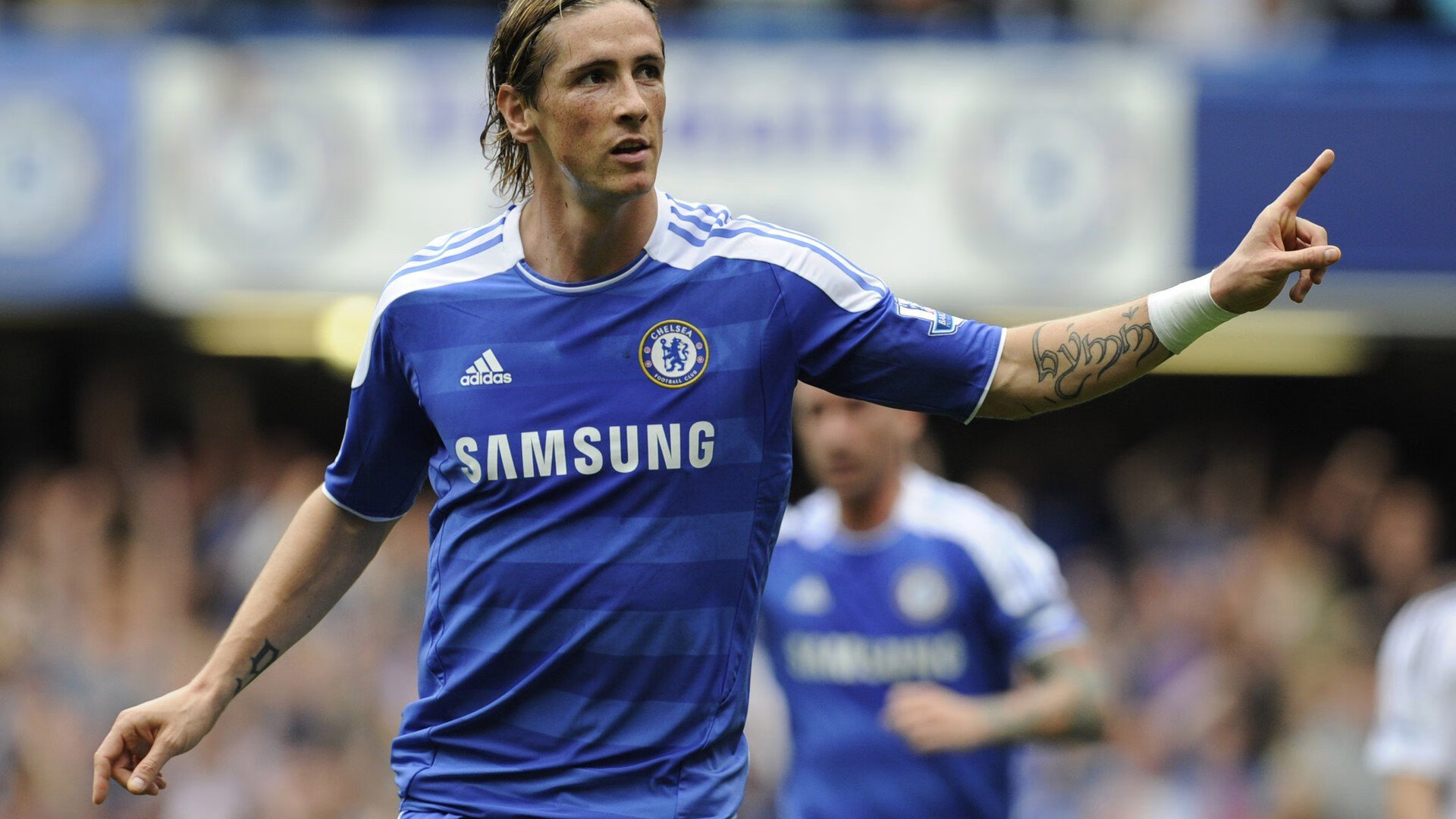 克罗地亚马术协会建立马匹基因数据库，促进马匹选育与训练。，克罗地亚 马可波罗